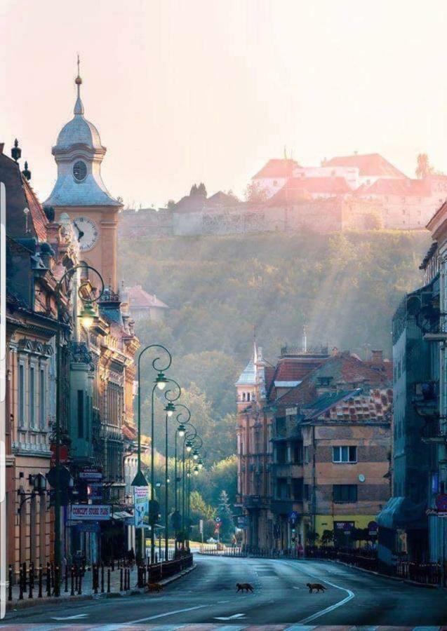 Strada Republicii Nr 26 Lejlighed Braşov Eksteriør billede